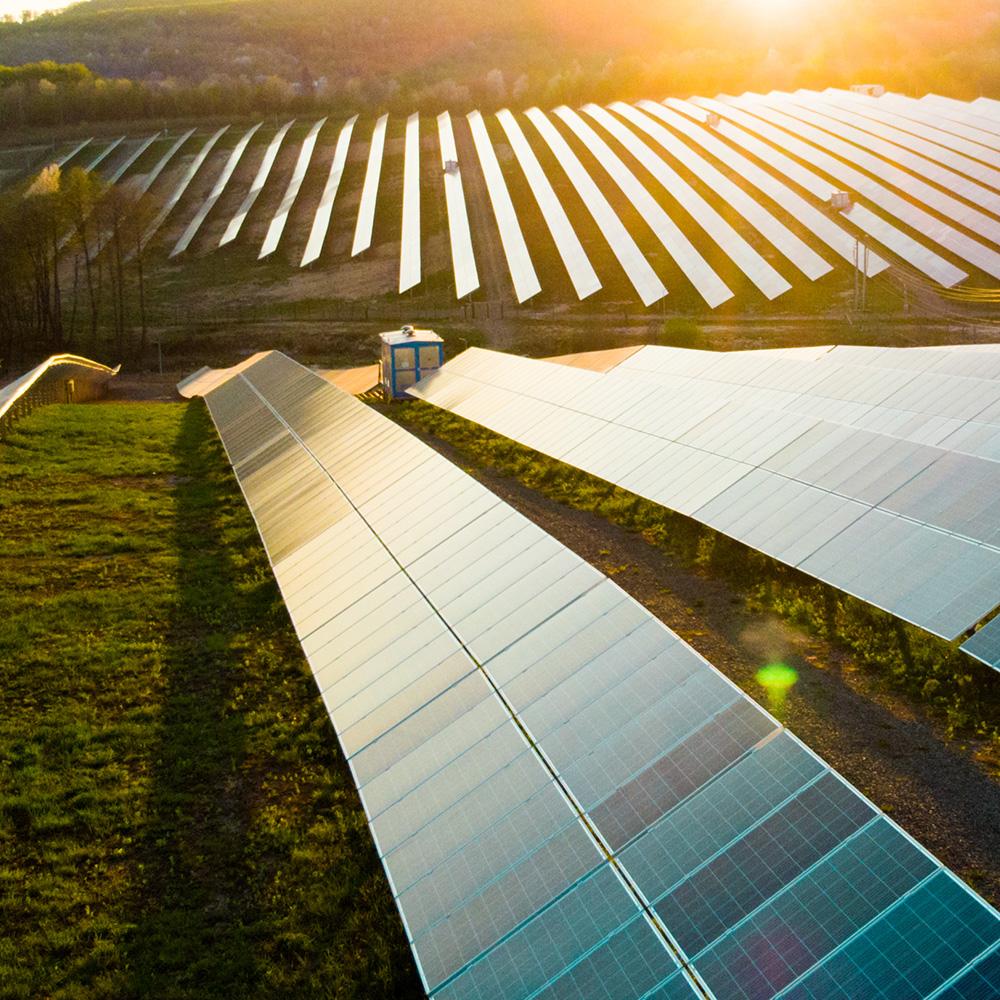 middle-east-green-initiative